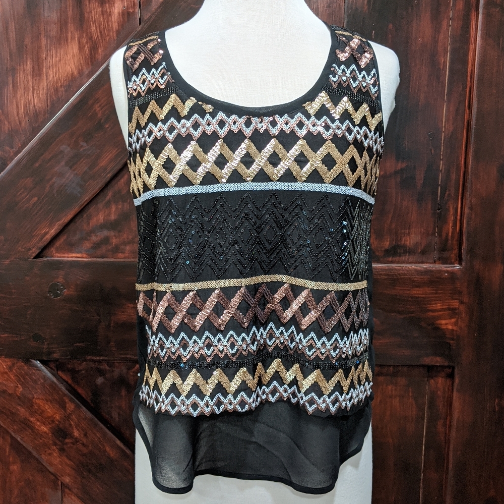 Skies Are Blue sequin top